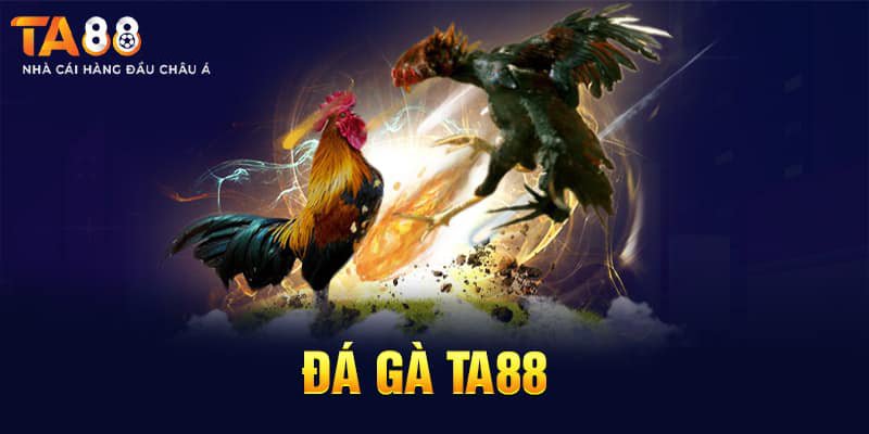 Game đá gà TA88 à gì?